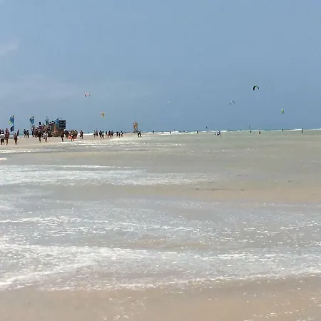 Cardon Big Calm 19 * Коста Калма