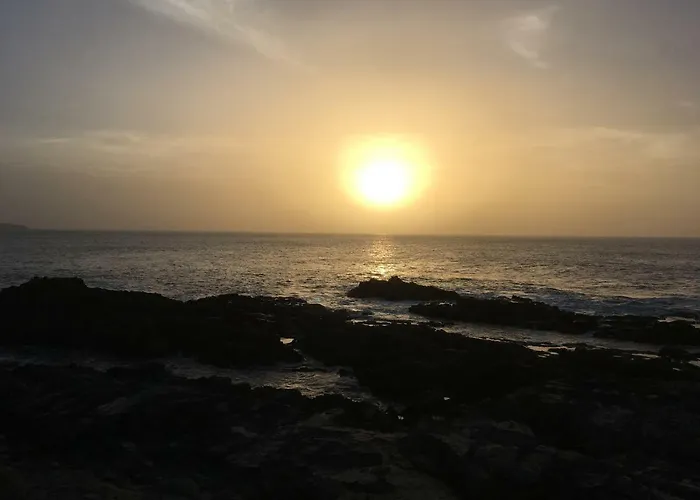 Cardon Big Calm 19 *