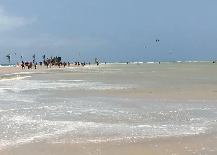 Cardon Big Calm 19 * Costa Calma